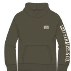 Felpa ragazzo  –  LEVI’S  –  26WMLK9EL152-16
