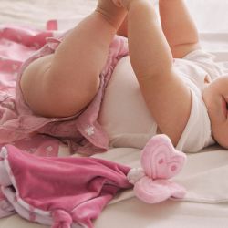 Dou Dou  –  New Born  –  9880-25