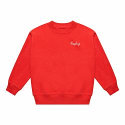 Felpa ragazzo  –  REPLAY  –  SB91IU.000.724B9W-16