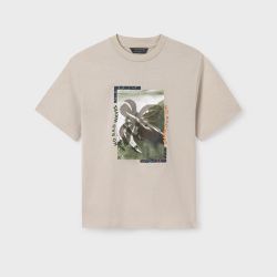 Maglietta ragazzo  –  Mayoral  –  6041-24