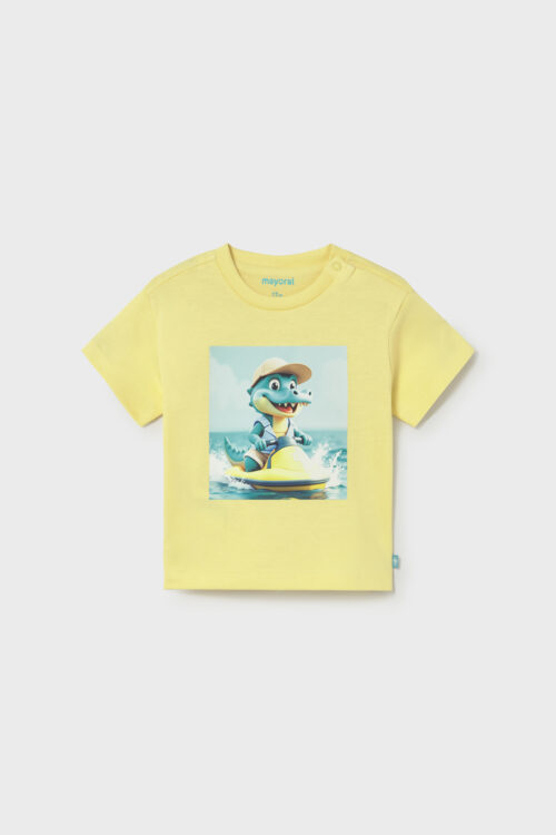 204334-204330-204335-204331-204332-204333