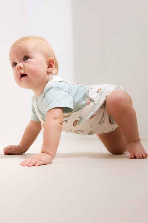 200271-200273-200274-200275-200272-200276