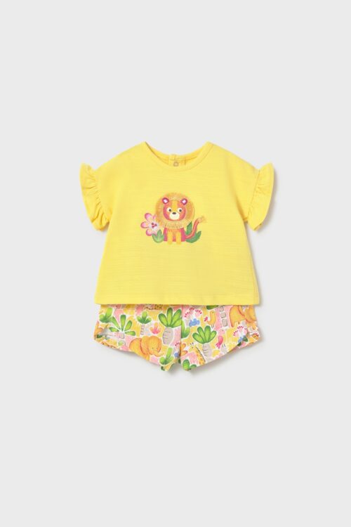 202213-202214-202215-202216-202212-202217