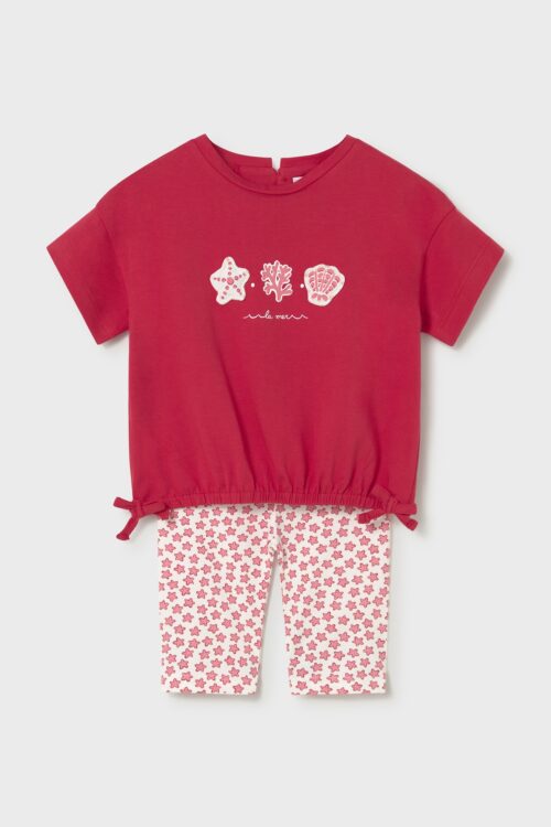 207774-207777-207778-207775-207776