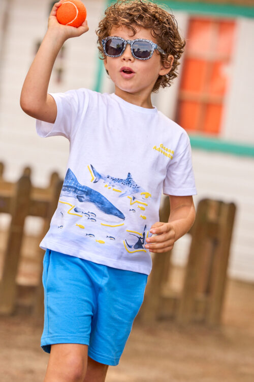 216425-216426-216427-216429-216430-216431-216428-216432-216433