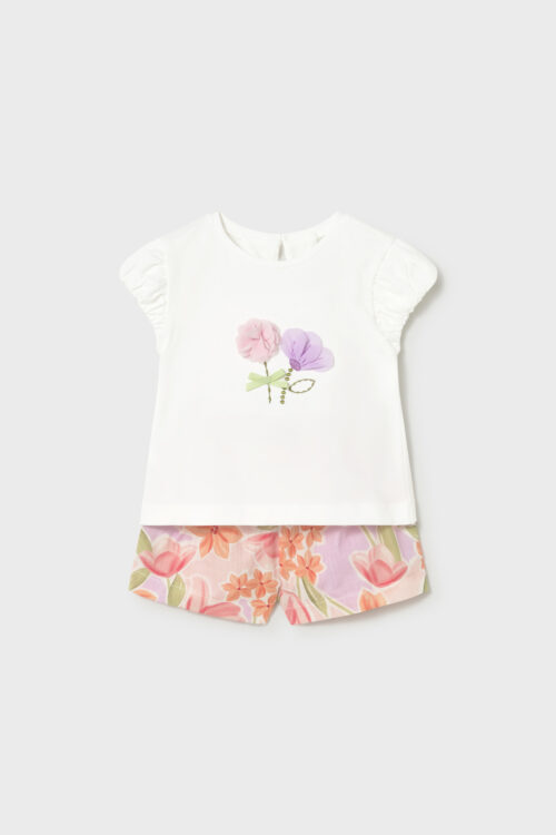 206647-206646-206648-206649-206650-206651