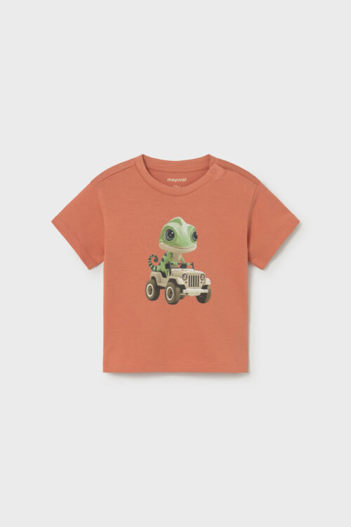 204211-204212-204213-204214-204215-204216