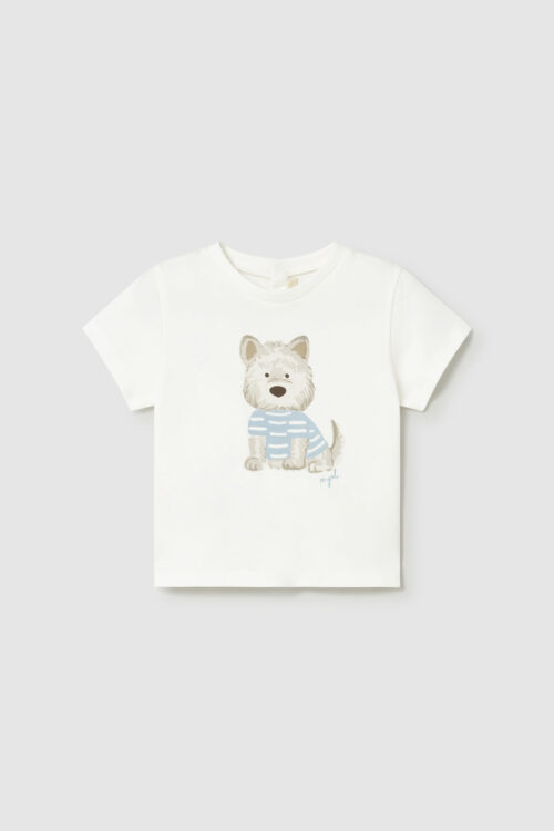 204061-204062-204063-204064-204065-204066