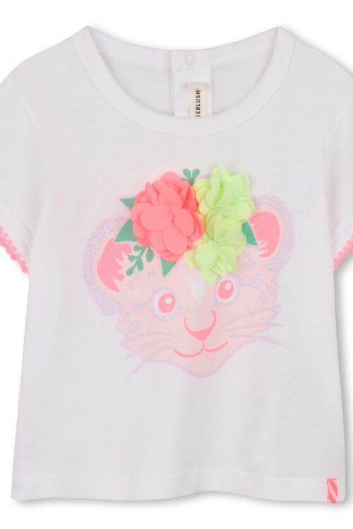 224542-224543-224544-224546-224541-224545